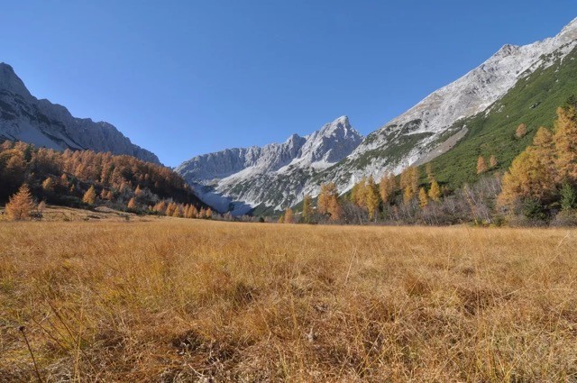 Buckfast Belergstelle: Zuchtbetrieb 2026