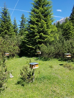 Belegstellenordnung Pinnistal 2026